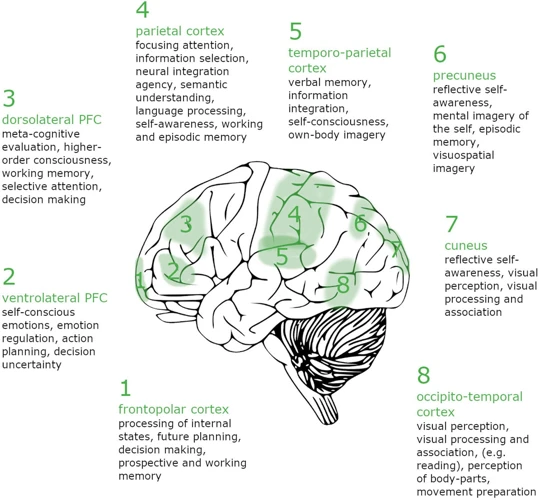 Cognitive Neuroscience And Lucid Dreaming