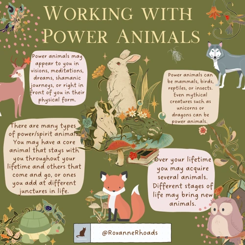 Connecting With Your Power Animals