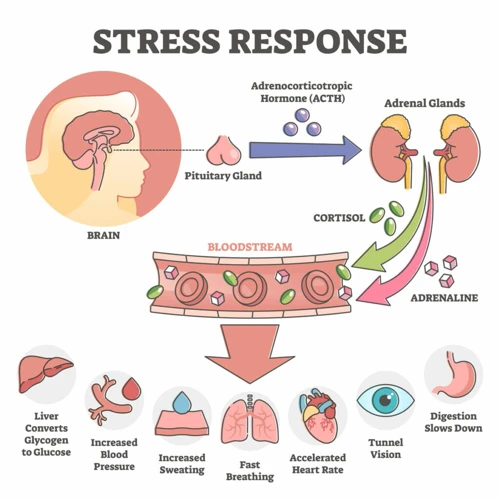 How To Practice Deep Breathing