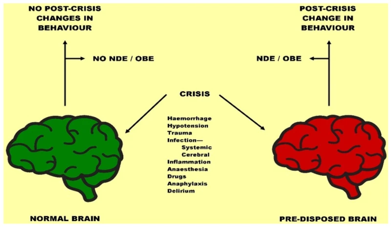 The Challenge Of Ndes To Traditional Views Of Consciousness