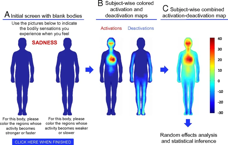 The Science Behind Sensations And Emotions