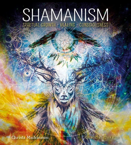 The Shamanic Healing Process
