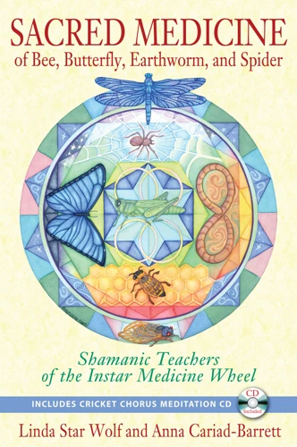 The Shamanic Journey Through Nature'S Cycles