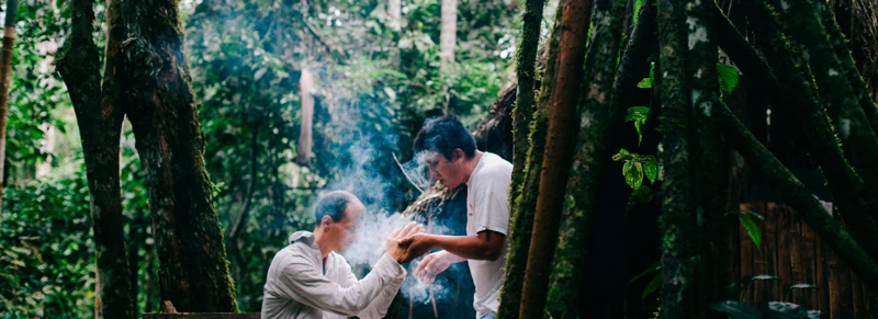 The Significance Of Tobacco In South American Shamanism