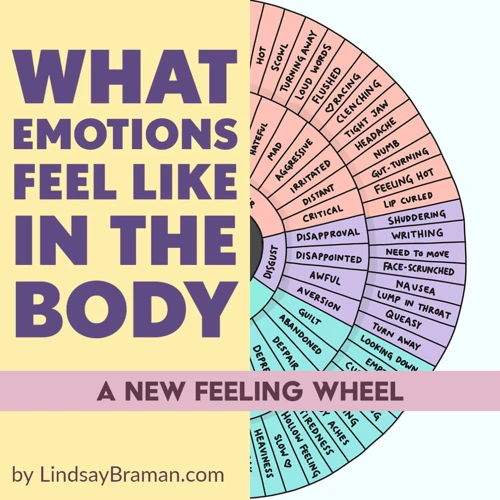 Understanding Emotions Through Body Sensations