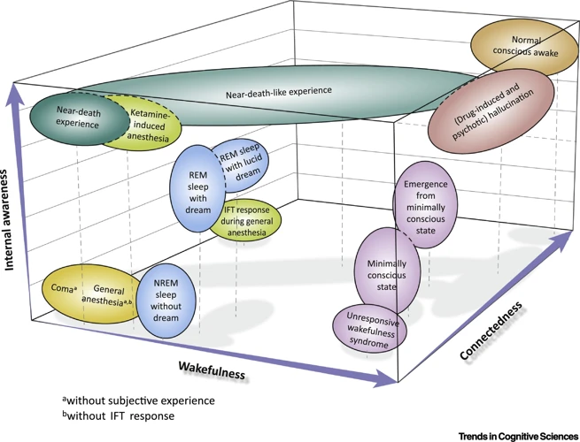 Understanding Near-Death Experiences