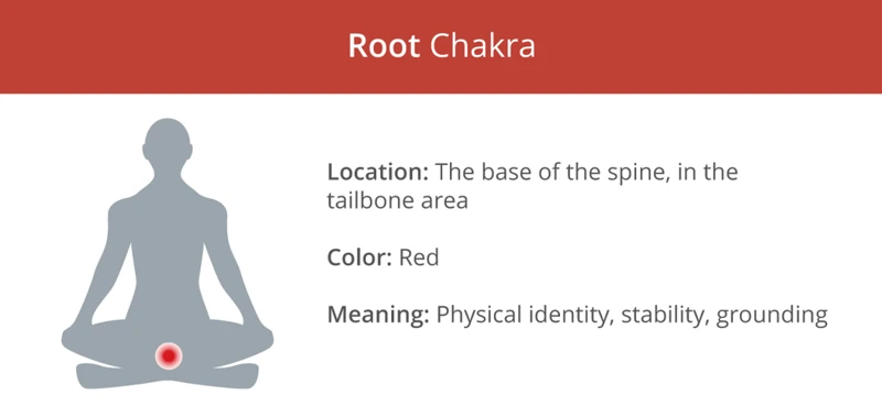 Understanding The Root Chakra