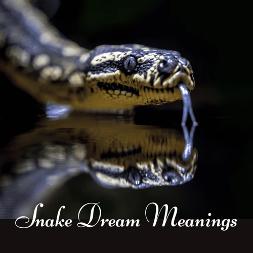 Unlocking The Meaning Of Snake Dreams