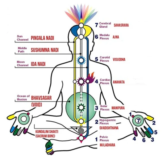 What Are Chakras?