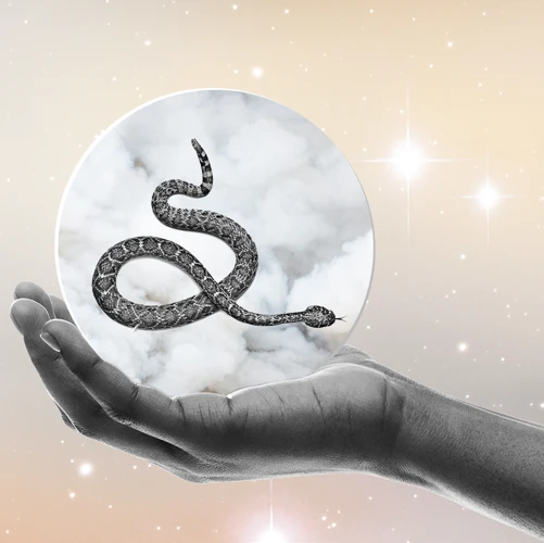 What Does A Snake In A Dream Represent?