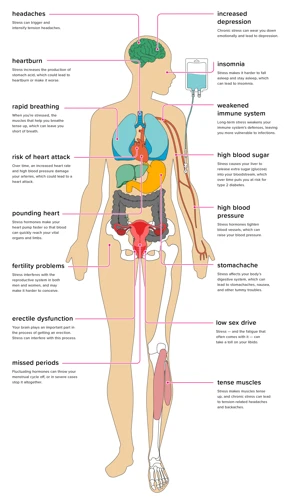 What Happens To Your Body?