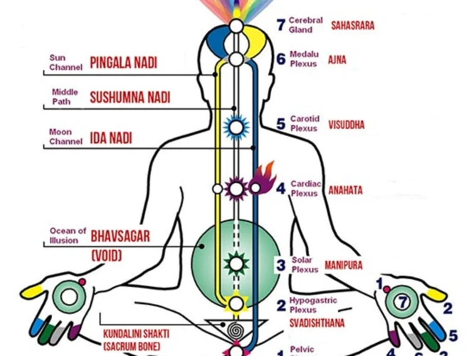 What Is Kundalini?