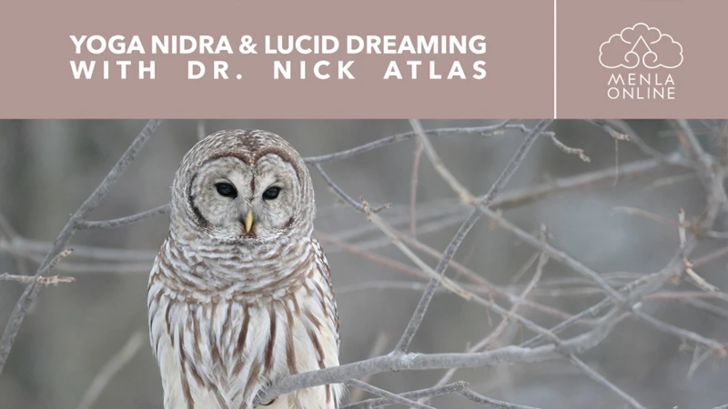 What Is Lucid Dreaming?