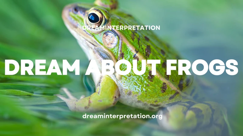 2. Dreaming Of Frogs: Common Interpretations