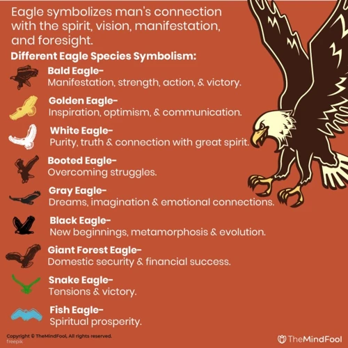 Bird Symbolism And Meanings