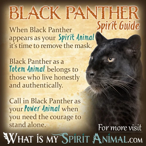 Common Dream Scenarios With A Black Panther