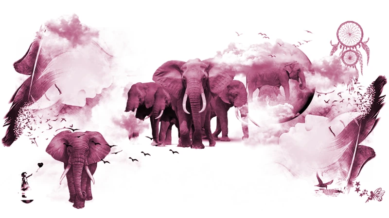 Common Elephant Dream Archetypes