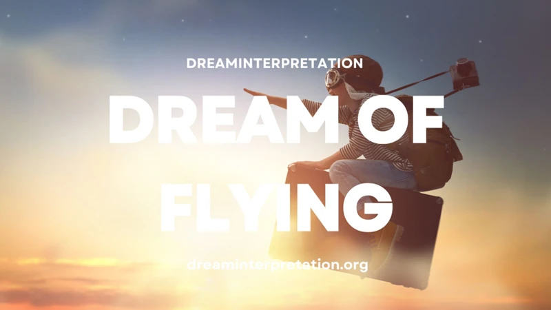 Common Emotions And Feelings Associated With Flying Dreams