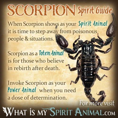 Common Emotions In Scorpion Dreams