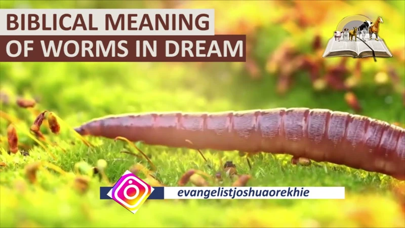 Common Meanings Of Dreams About Worms