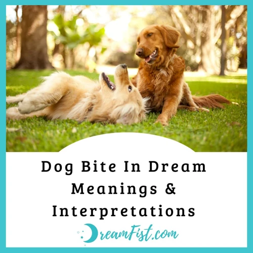 Common Scenarios And Interpretations Of Dreams About Dog Biting