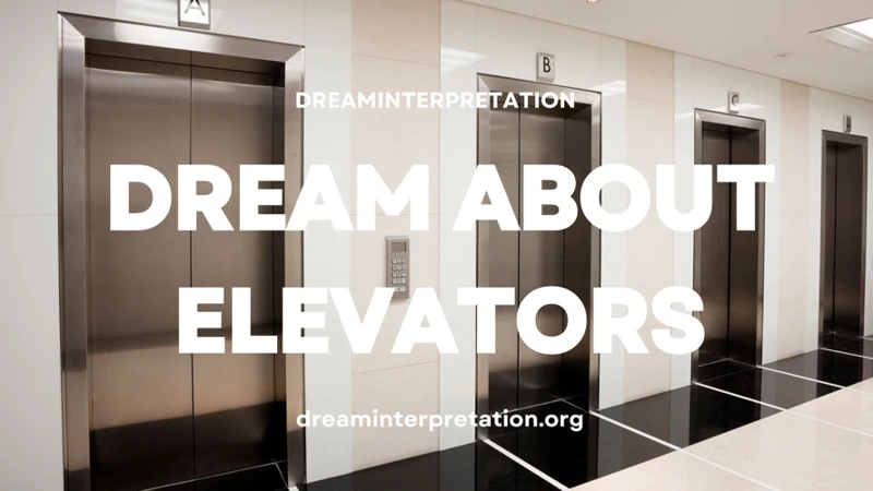 Common Scenarios In Falling Elevator Dreams