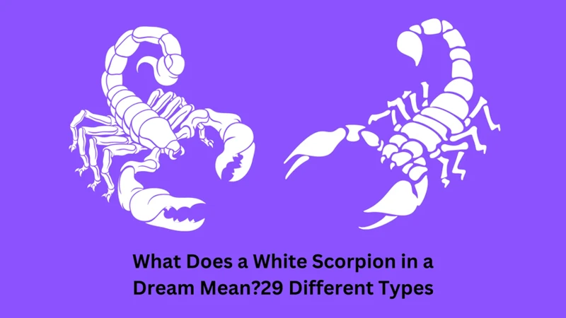 Decoding Scorpion Dream Scenarios