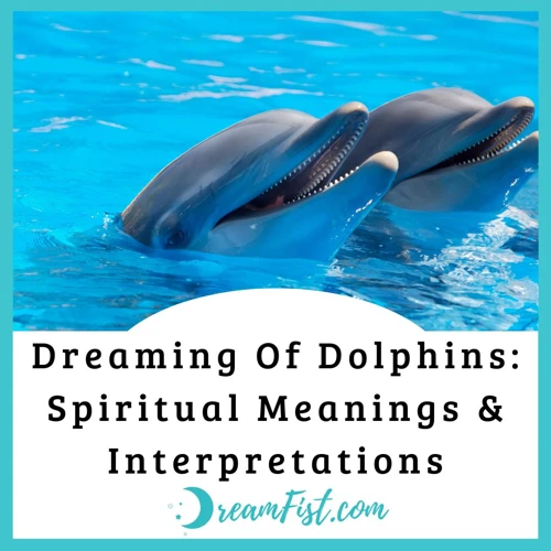 Dolphins In Dreams