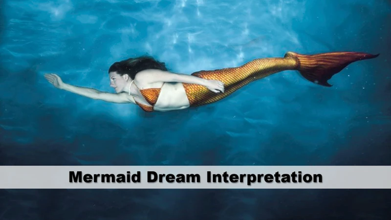 Dreaming Of Mermaids: Interpretations