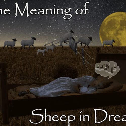 Dreaming Of Sheep: A Symbolic Overview