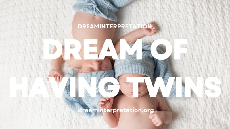 Dreaming Of Twins: Interpretations