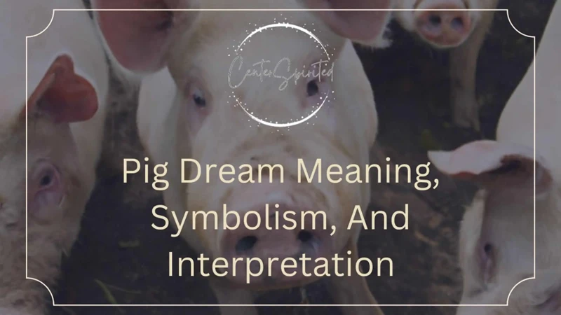 Exploring Different Pig Dream Scenarios