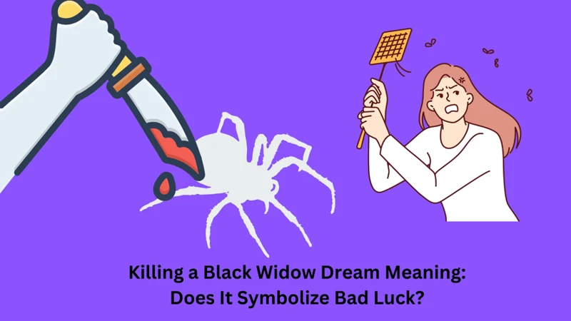 Exploring Dreams About Black Widows