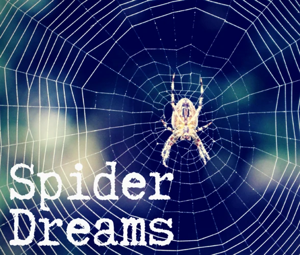 Exploring The White Spider In Dream