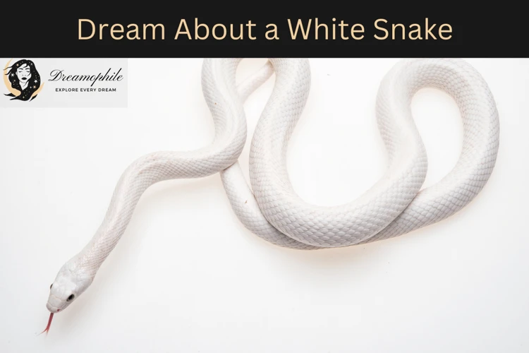 Exploring White Snakes In Dreams