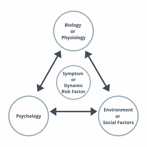 Factors Influencing Dream Bruises