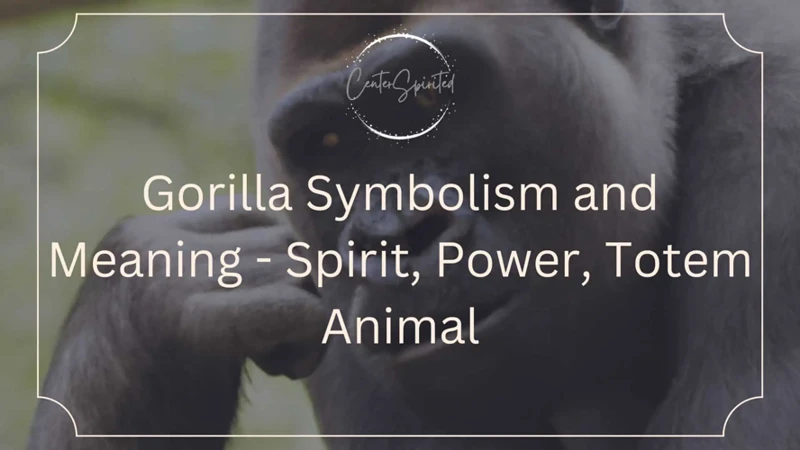 Gorillas In Mythology And Culture