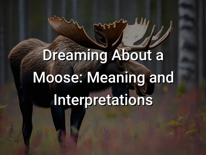 How To Connect With The Moose Spirit Animal