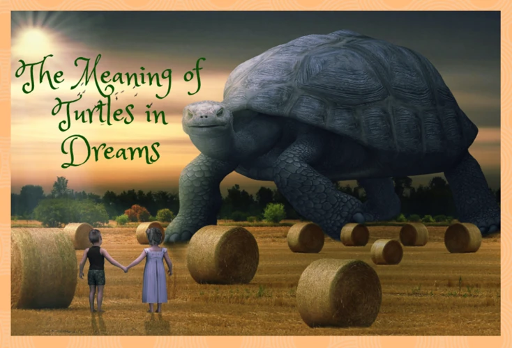 Interpretation Of Dreaming About Turtles