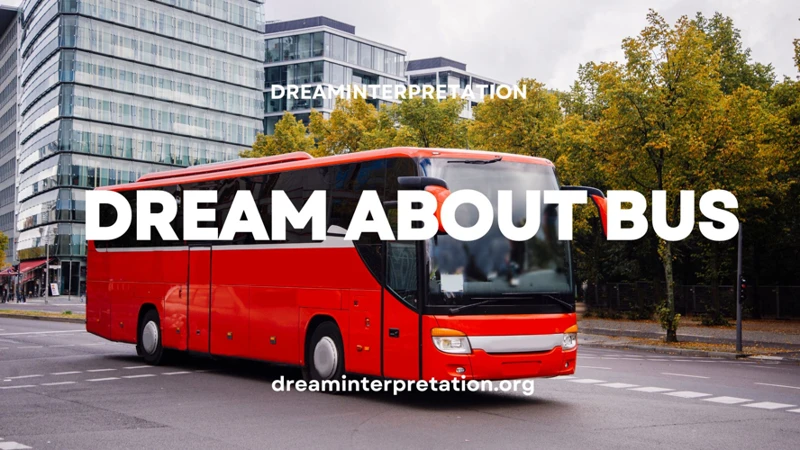 Interpretations And Meanings Of Bus-Related Dreams
