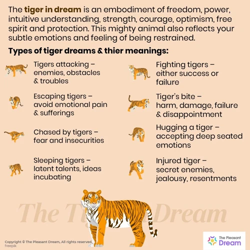 Interpretations Of Tigers In Dreams