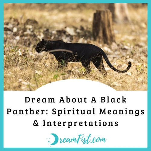 Interpreting A Dream Of A Black Panther