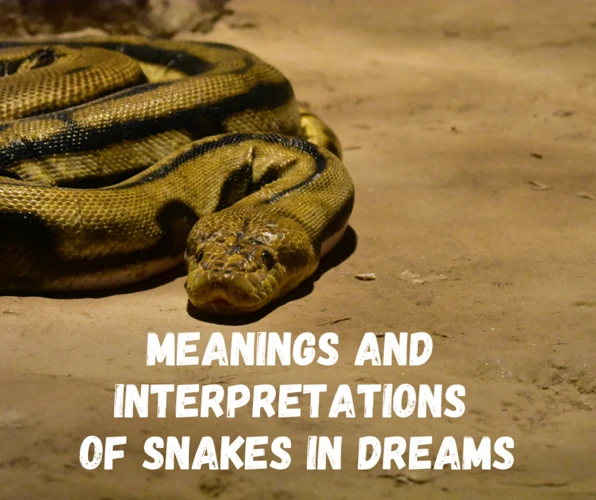 Interpreting A Snake-Eating-Snake Dream