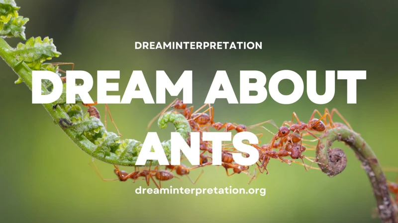 Interpreting Ant Dreams