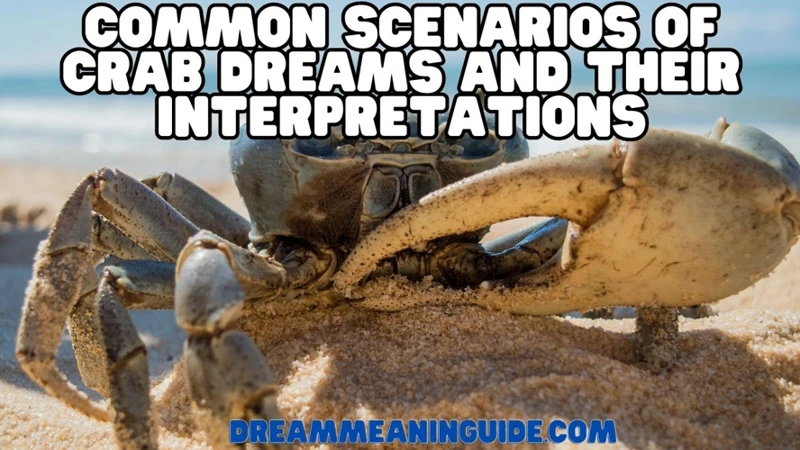 Interpreting Crab Dream Scenarios