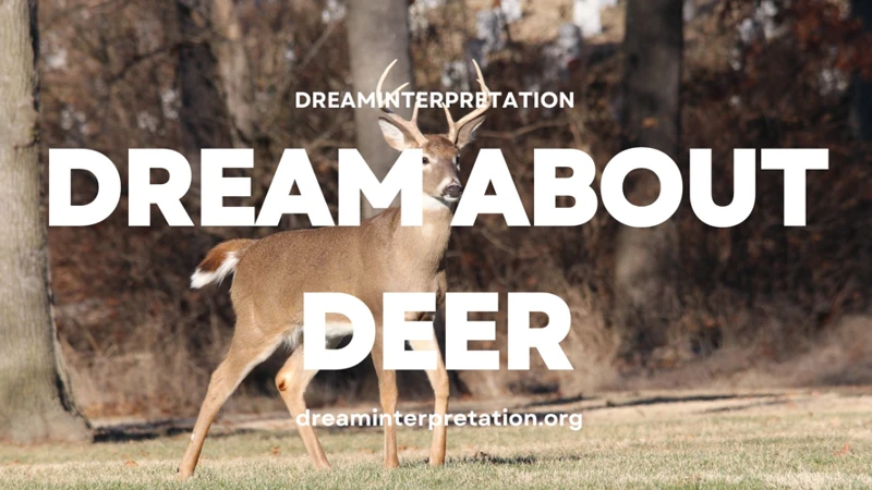 Interpreting Deer Attack Dreams