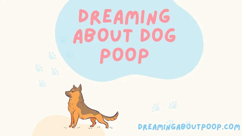 Interpreting Different Scenarios Of Dog Poop Dreams