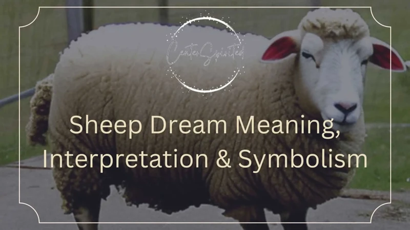 Interpreting Different Sheep Dreams