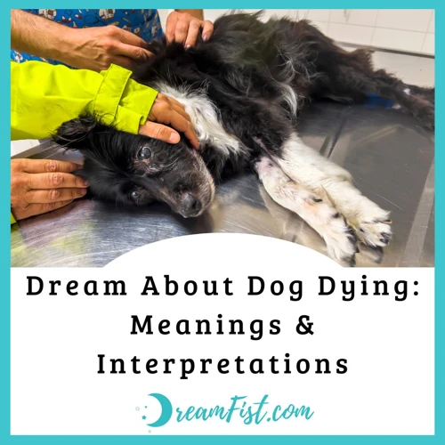 Interpreting Dreams About A Dog Dying