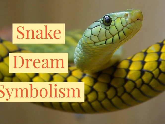 Interpreting Dreams Of Snake In Bed